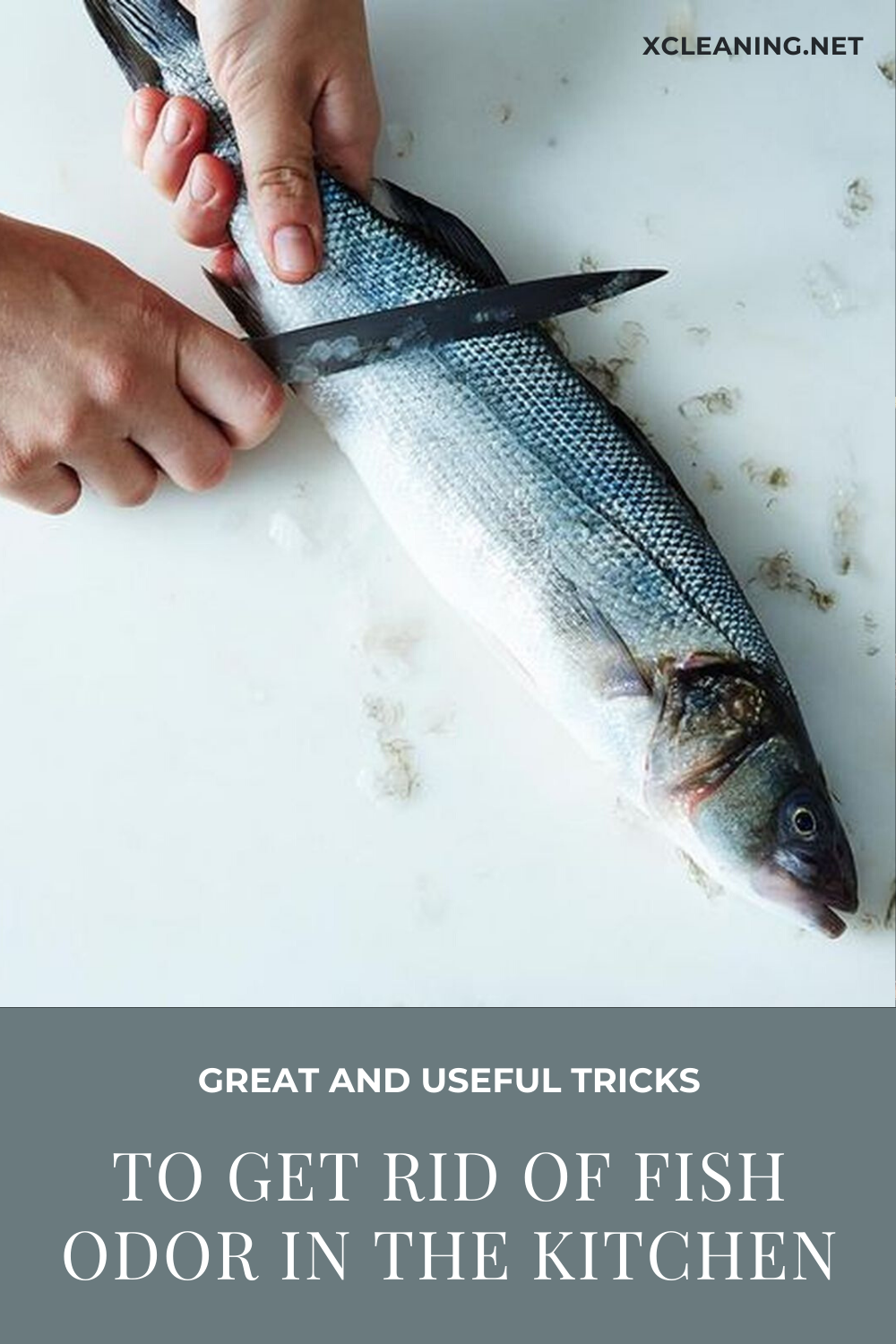 Great And Useful Tricks To Get Rid Of Fish Odor In The ...