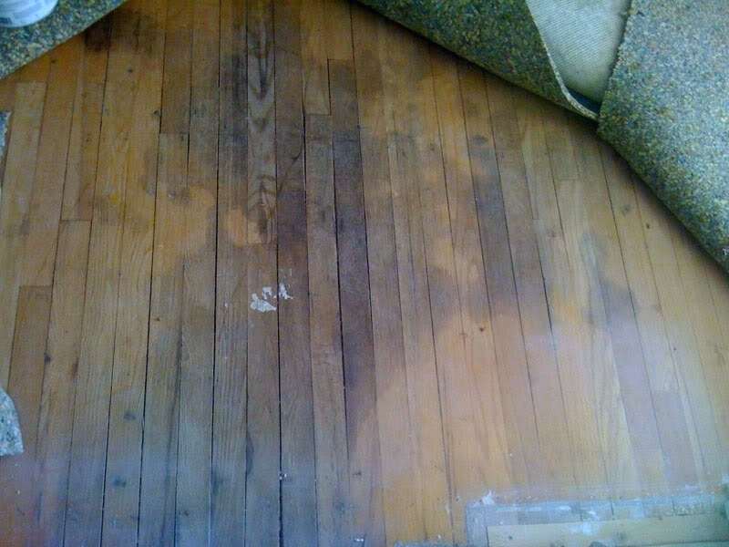 water floors hardwood floor damage damaged flooring wooden signs stains mold remove rid tips hacks homemade dried window refrigerator leak