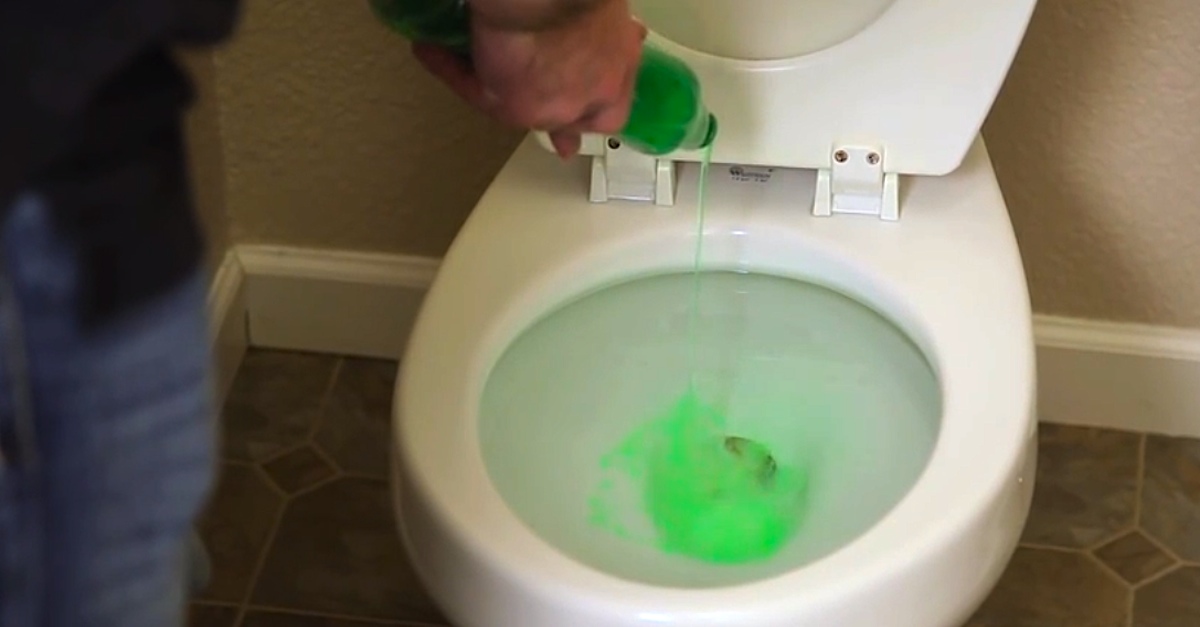 How To Unclog The Toilet Bowl Without Using Harsh