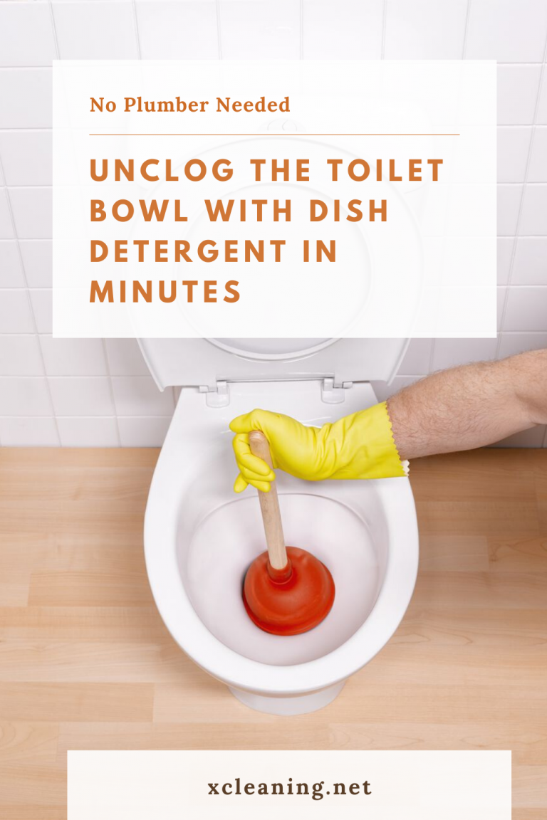 No Plumber Needed! Unclog The Toilet Bowl With Dish