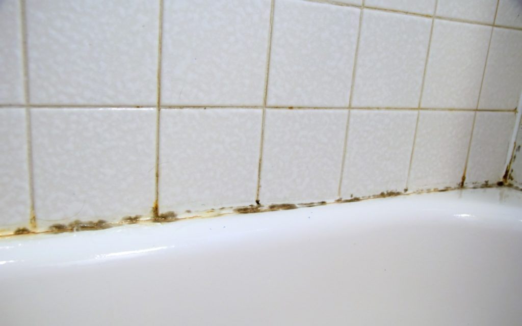 Homemade Mold Remover To Clean Black And Moldy Bathroom Caulk Xcleaning Net Your Cleaning Tips - How To Remove Black Mold From Bathroom Silicone
