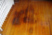 How To Remove Male Cat Urine Smell From, How To Remove Old Cat Urine Smell From Hardwood Floors