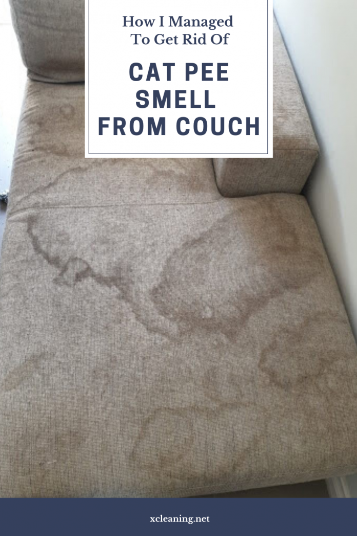 How I Managed To Get Rid Of Cat Pee Smell From Couch | xCleaning.net - How To Get Rid Of Pee Smell In Couch