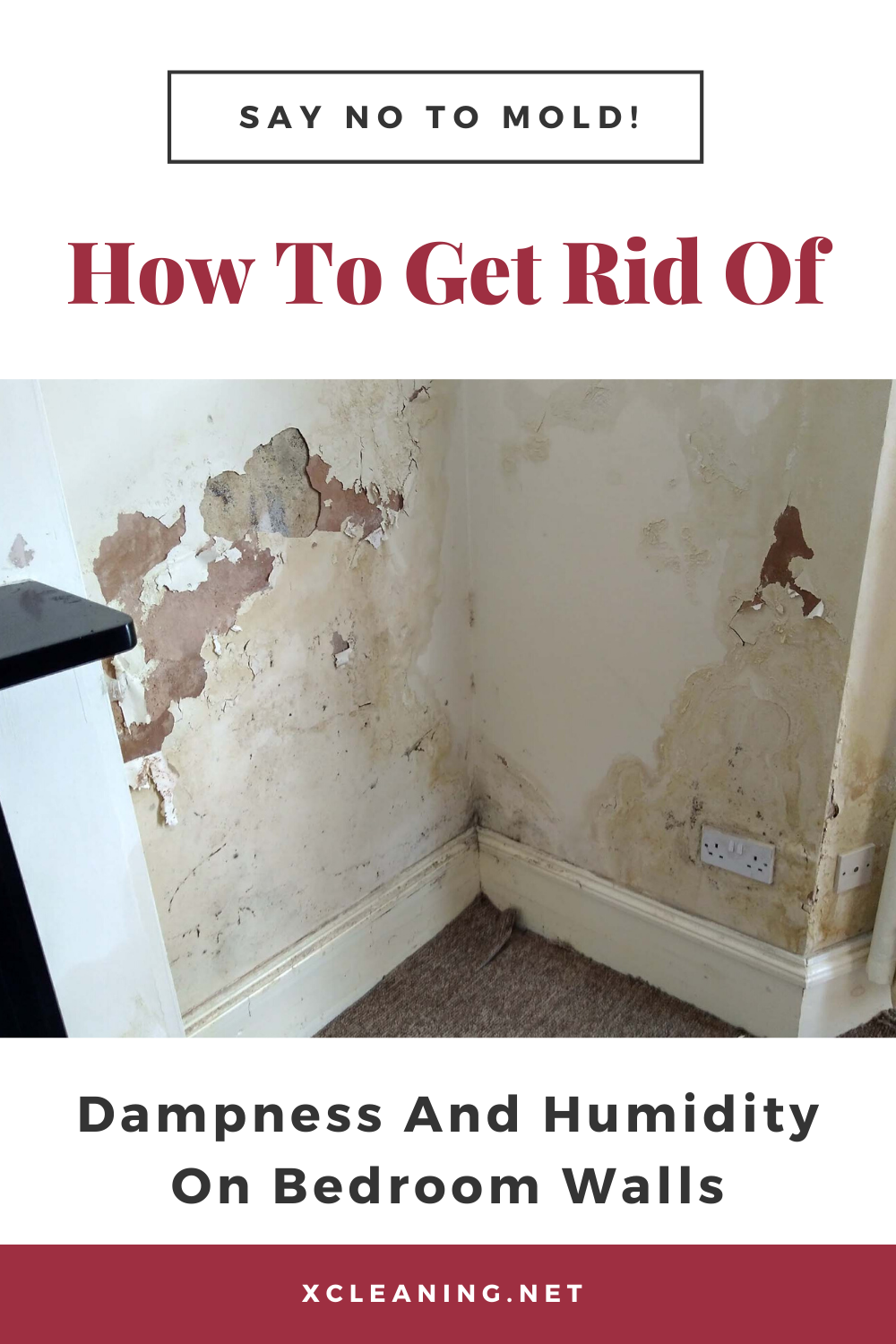 Say No To Mold! How To Get Rid Of Dampness And Humidity On
