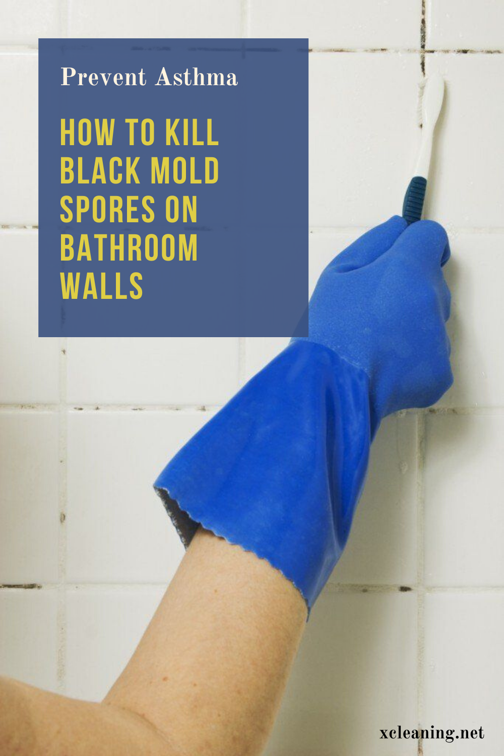 Prevent Asthma How To Kill Black Mold Spores On Bathroom